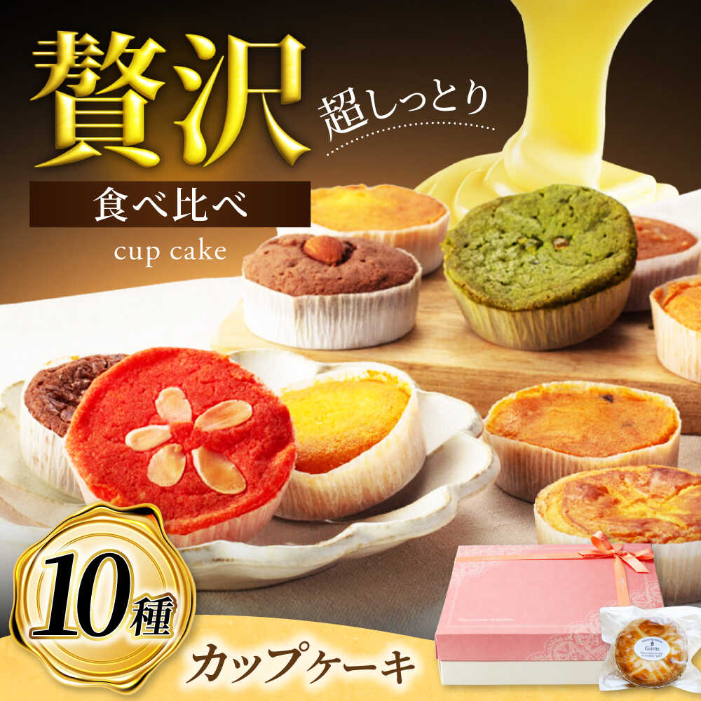 【ふるさと納税】【母の日対応】10種セット カップケーキ ひと箱で贅沢食べ比べ！ 【菓子工房オアシス】 焼き菓子 ギフト 焼き立て[MGF003]