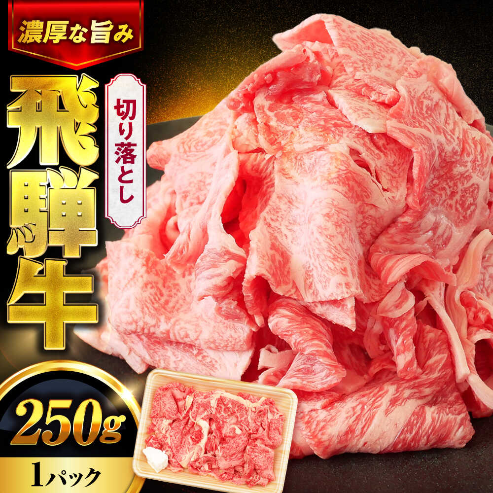 【ふるさと納税】飛騨牛 切り落とし 250ｇ 1パック【土岐市観光協会】牛肉 黒毛和牛 赤身 霜降り[MHI001]｜岐阜県土岐市