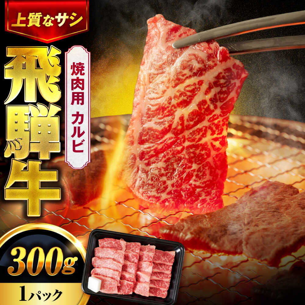 【ふるさと納税】飛騨牛 焼肉用(カルビ) 300g 【土岐市観光協会】牛肉 黒毛和牛 赤身 霜降り[MHI003]