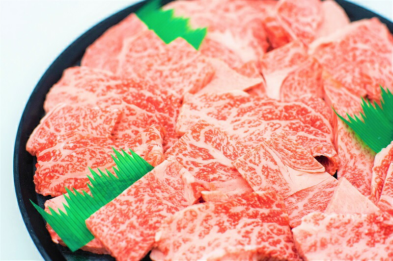 【ふるさと納税】特撰飛騨牛Ａ５等級　肩ロース・赤身　焼肉用900g【牛肉】｜岐阜県各務原市