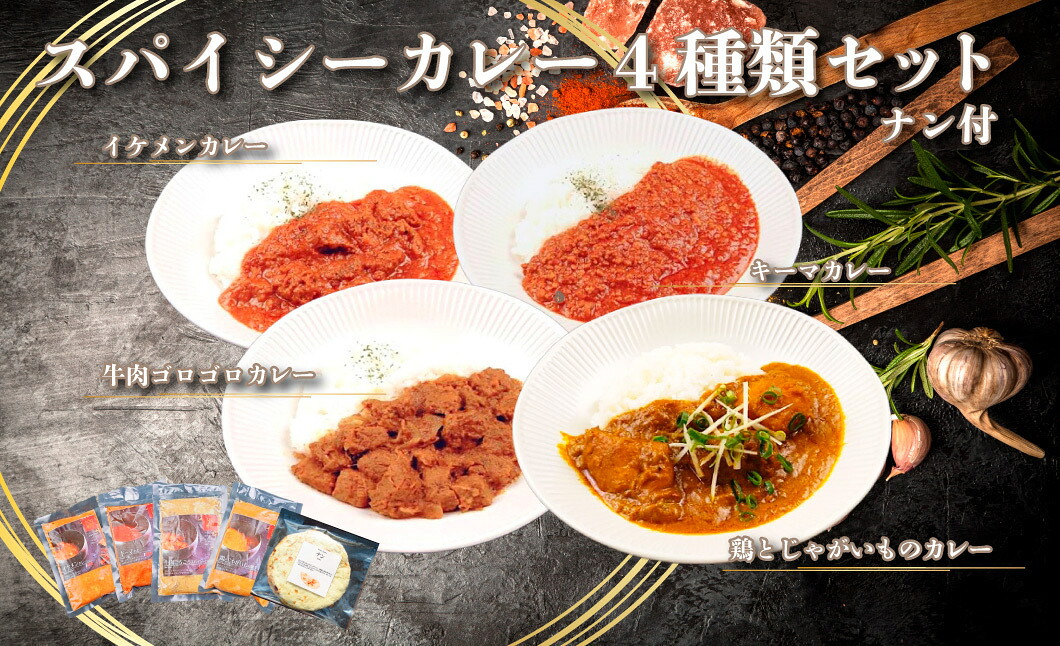 【ふるさと納税】帝カレー　スパイシーカレー４種類セット｜岐阜県各務原市