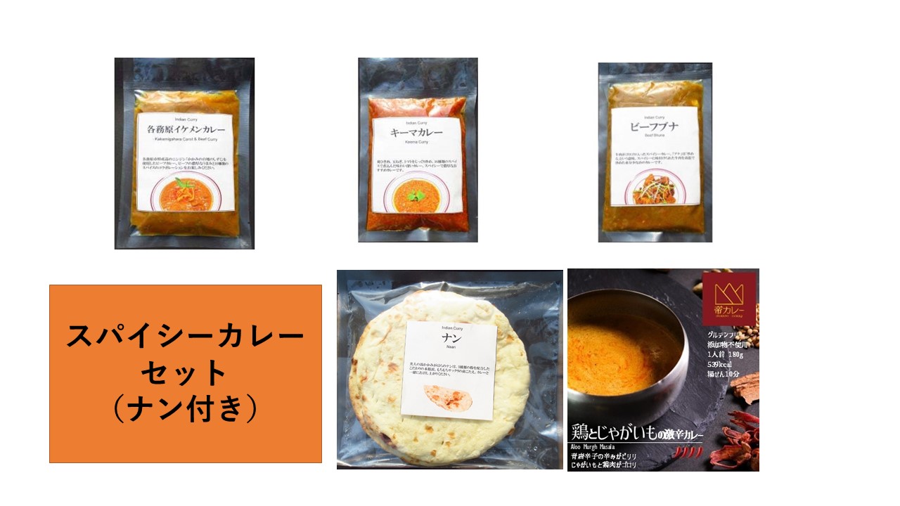 ふるさと納税 大阪府 泉南市 渡邊?? チキンカリー 5個セット カレー レトルトカレー レトルトカレーセット こだわりカレー チキンカレー オリジナルカレー ス… ふるさと納税渡邊咖哩 チキンカリー 5個セット カレー