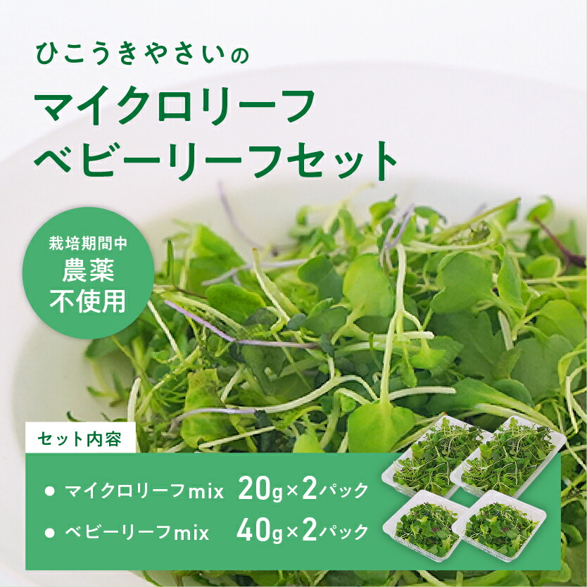 【ふるさと納税】マイクロリーフミックス【20g】＆ベビーリーフミックス【40g】健康野菜の食べ比べセット