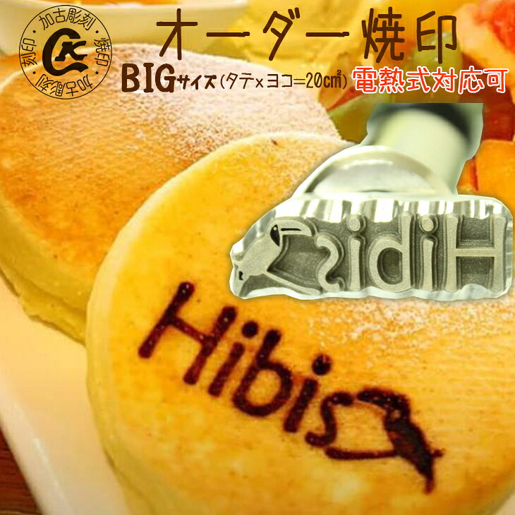 【ふるさと納税】購入注文焼き金 BIG大きさ 電熱用