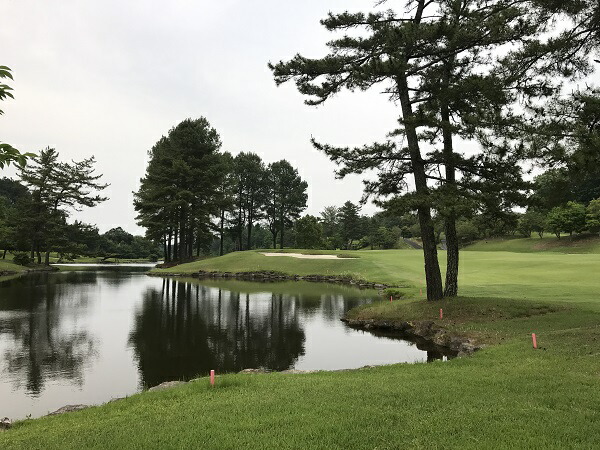 残りわずか 日本ラインゴルフ倶楽部利用券 6枚 岐阜県可児市 売り切れ必至 Vancouverfamilymagazine Com