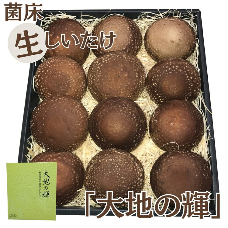 【ふるさと納税】菌床生しいたけ　「大地の輝」 [No.003] ／ 椎茸 シイタケ 産地直送 国産 新鮮 送料無料 岐阜県 特産｜岐阜県山県市