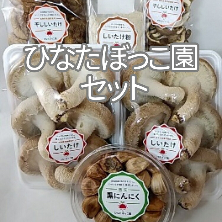 【ふるさと納税】ひなたぼっこ園セット [No.383] ／ 椎茸 シイタケ にんにく 送料無料 岐阜県｜岐阜県山県市