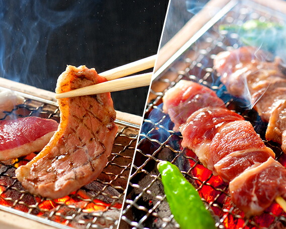 4 6人前 一度食べたらやみつきに 鴨串 鴨ロースブロックセット 串焼き ふるさと納税 ロース肉 カモ肉 精肉 肉加工品 バルバリー種 岐阜県山県市 カモ肉 岐阜県山県市ふるさと納税 返礼品 No 278