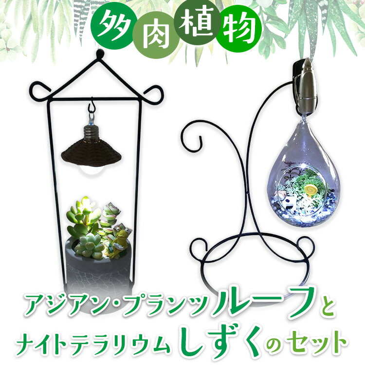 ?継続期間押さえるでごお引き回し中！スペシャルデイズ