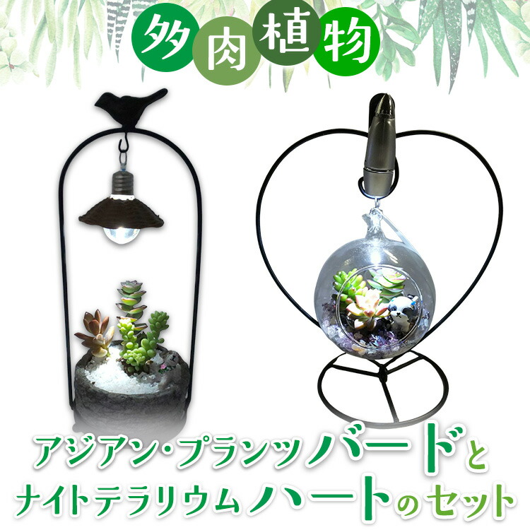 ?継続期間押さえるでごお引き回し中！スペシャルデイズ