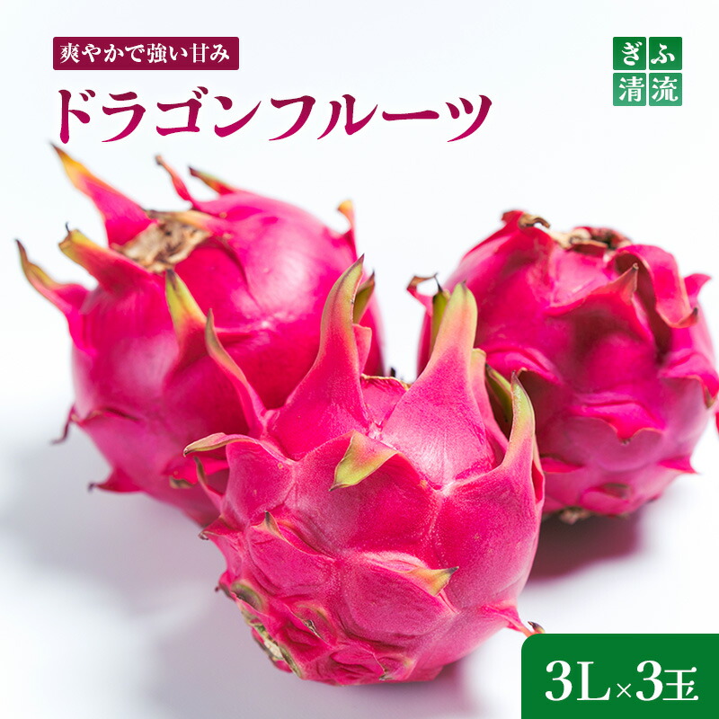 【ふるさと納税】養本社のドラゴンフルーツ　3Lサイズ3個入 果物詰合せ 　お届け：2025年6月中旬より順次発送