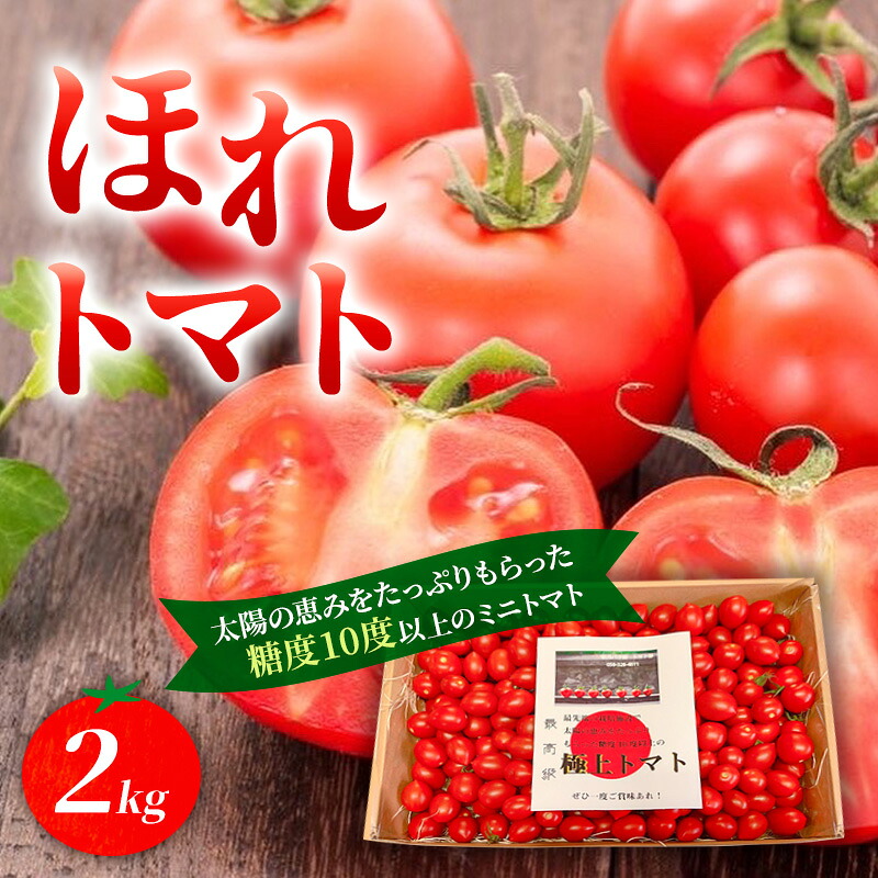 【ふるさと納税】高糖度「ほれトマト」2kg　極上 ミニトマト 糖度10度以上 | トマト とまと ミニトマト フルーツトマト 野菜 やさい 人気 新鮮 産地直送 甘い 高糖度 完熟 ジューシー 食べやすい ※2026年6月～発送｜岐阜県瑞穂市