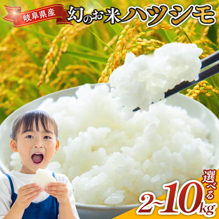 【ふるさと納税】＼選べる内容量／ 令和7年産 岐阜県産 ハツシモ | 米 お米 コメ こめ ハツシモ はつしも ごはん ご飯 おにぎり お弁当 白米 精米 ブランド米 幻の米 国産 岐阜県 瑞穂市｜岐阜県瑞穂市 9,360円