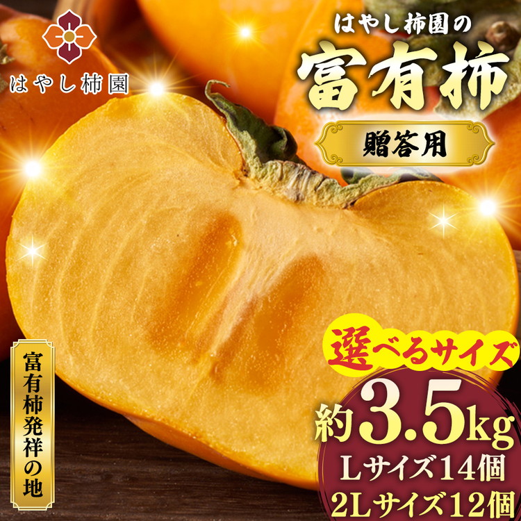 【ふるさと納税】【先行予約】 ＼選べるサイズ／ はやし柿園の贈答用富有柿 | 柿 カキ かき 果物 フルーツ 予約 高糖度 濃厚 秋の味覚 ギフト 贈答用 プレゼント 贅沢 ご褒美 旬 お取り寄せ ※2026年11月中旬頃より順次発送予定 ※離島への配送不可｜岐阜県瑞穂市 10,780円