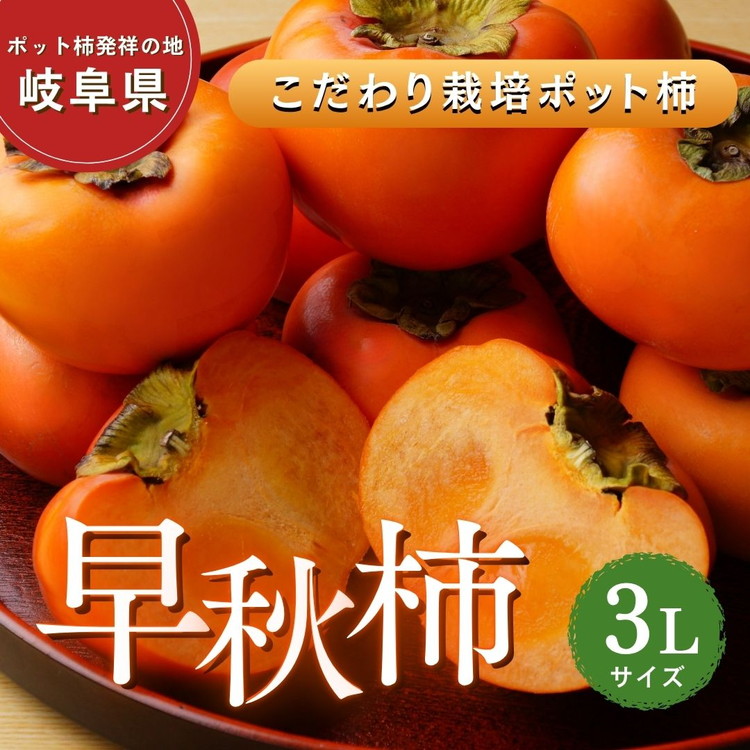 【ふるさと納税】【先行予約】こだわり栽培ポット柿（太秋柿） 3Lサイズ9個入り | 柿 かき カキ 太秋柿 甘い シャキシャキ 大玉 フルーツ くだもの 果物 秋の味覚 おやつ スイーツ 産地直送 先行 予約 ※離島への配送不可 ※2026年10月中旬～11月上旬頃に順次発送予定
