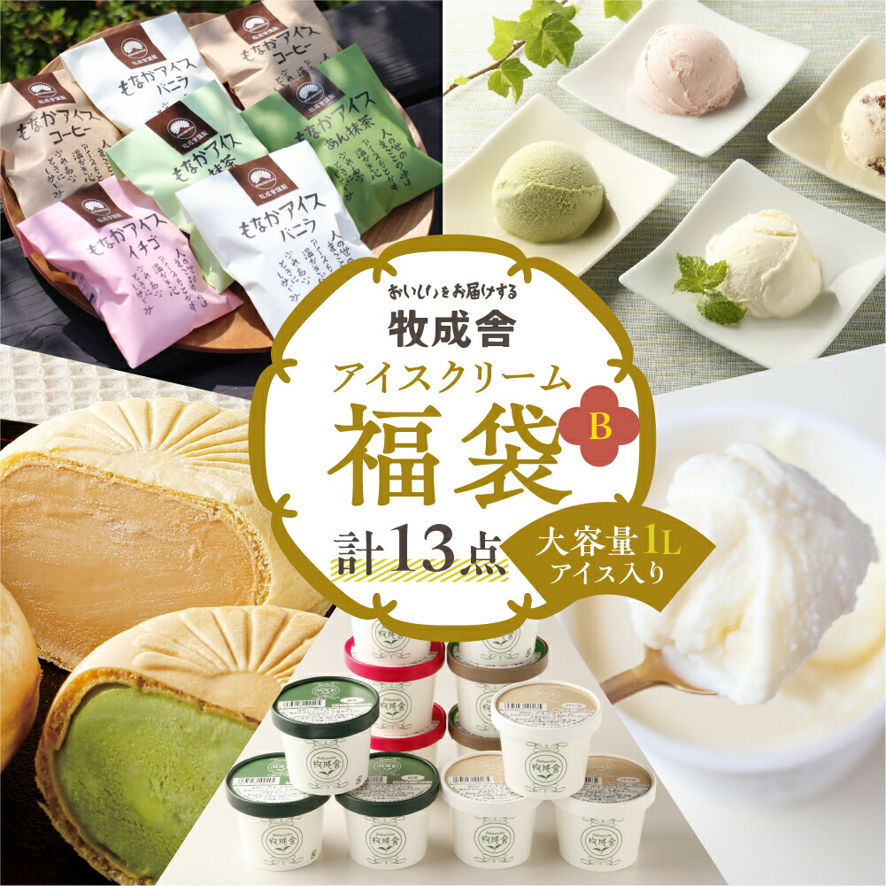 【ふるさと納税】訳あり ＜牧成舎・ふるさと納税限定＞ 飛騨のアイスクリーム贅沢セット アイス 味はおまかせ スイーツ 訳アリ わけあり ワケアリ [C0001_13] 17,520円