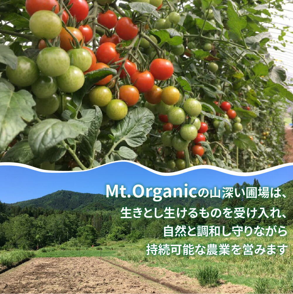 激安 新作 オーガニック ミニトマト 約 3kg 有機jas認証 有機 プチトマト円 Www Leesburgpartnership Com
