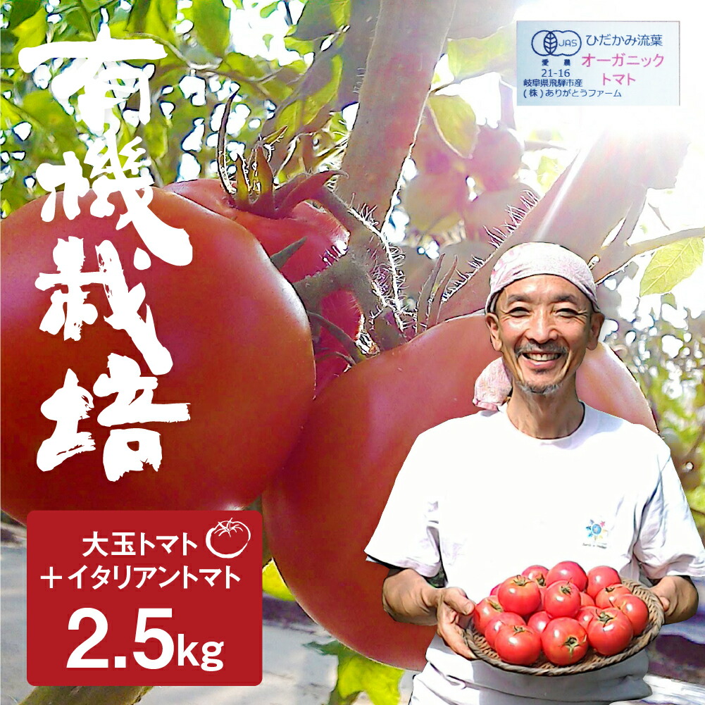 【ふるさと納税】【2025年産先行予約】《期間・数量限定》 コクと旨味の有機大玉トマト サンマルツァーノ 調理用トマト ありがとうファーム 有機JAS認定 2.5kg とまと 大玉 甘い 特産 国産 野菜 訳あり 旬 有機野菜 訳アリ 送料無料 [Q633]《hida0307》