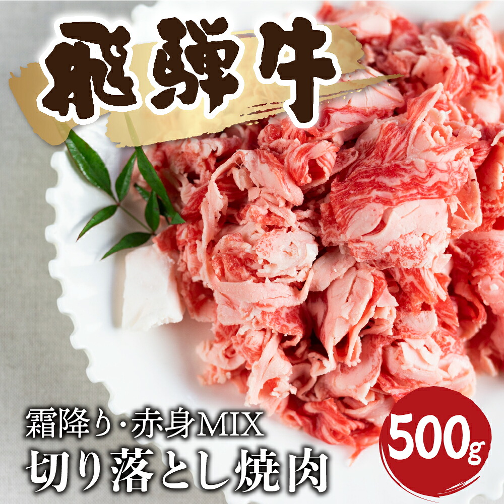 【ふるさと納税】【訳あり】飛騨牛 霜降り 赤身 ミックス 切り落とし 焼肉 500g 訳あり 訳アリ わけあり ワケアリ 不揃い 焼き肉 牛肉 和牛 バラ モモ カタ 飛騨市 [Q1023x] 18000円｜岐阜県飛騨市