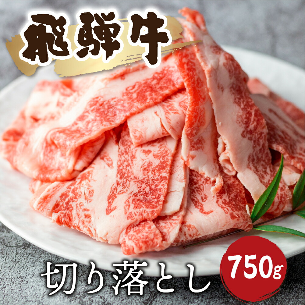 【ふるさと納税】《訳あり》飛騨牛 切り落としスライス 750g 焼肉 牛肉 黒毛和牛 和牛 すき焼き 焼き肉 訳アリ わけあり ワケアリ 不揃い 部位おまかせ 煮物 飛騨古川［Q2526］18000円｜岐阜県飛騨市