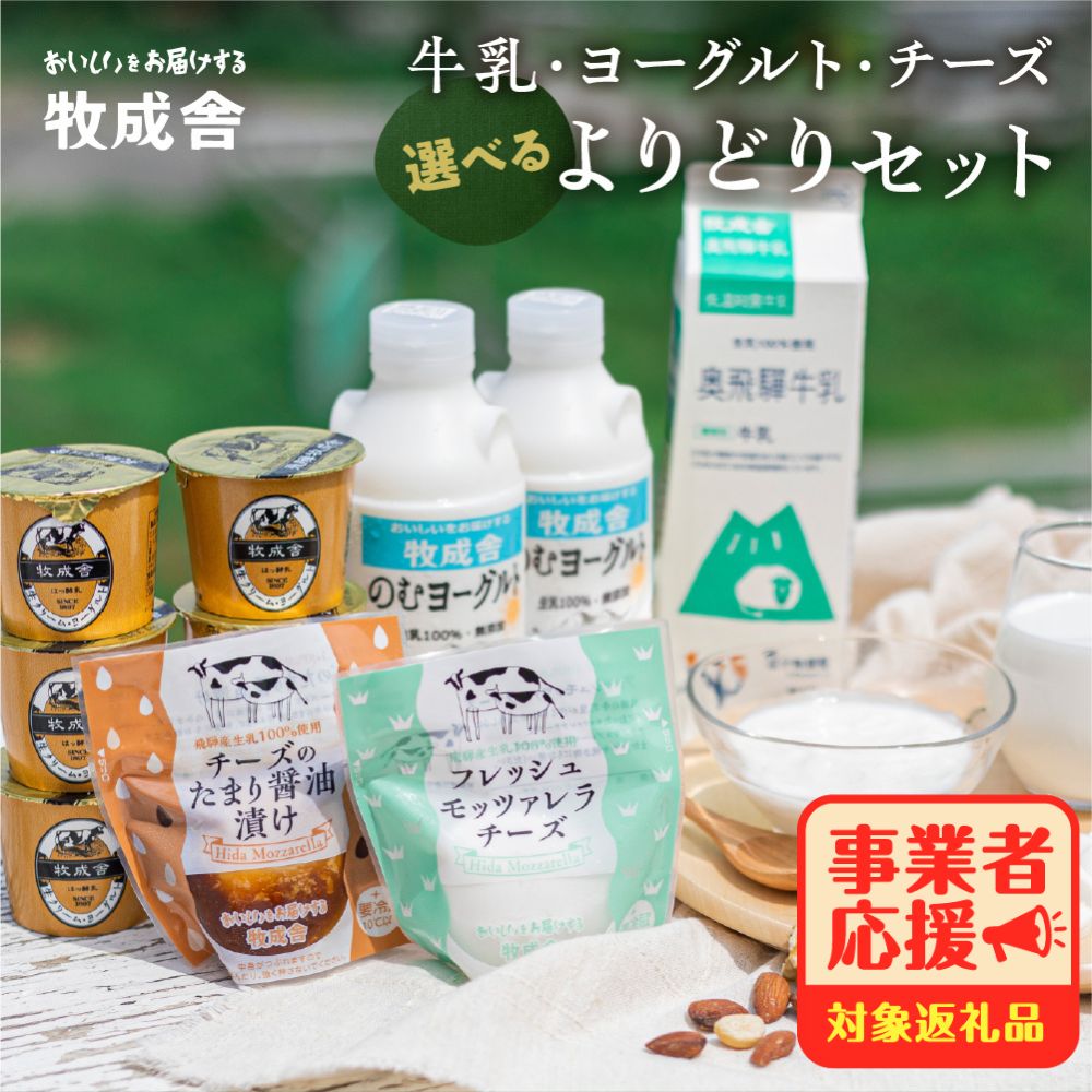 【ふるさと納税】乳製品セット モッツァレラチーズ ヨーグルト 牛乳 飲むヨーグルト 食べ比べ 訳あり 選べる よりどりセット ヨーグルト 牧成舎 1万円 10000円 [B0096] 飛騨市 ミルクPJ 定期便 どやな飛騨市 日時指定可
