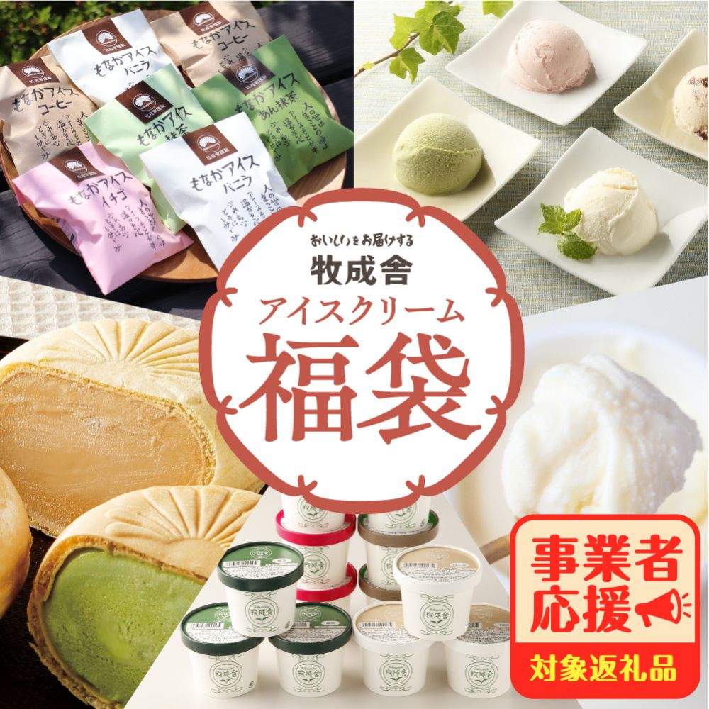 飛騨のミルクのアイスクリーム福袋（飛騨市返礼品）