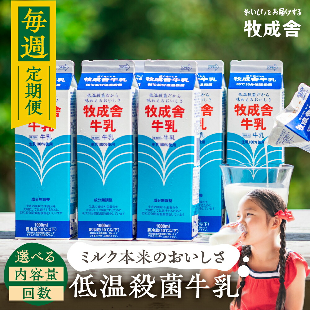 【ふるさと納税】《毎週土曜日お届け》毎週定期便 4回 ～ 12回 低温殺菌牛乳 定期便 牧成舎のこだわり牛乳 定期便 お楽しみ[Q2756] 30000円 60000円 90000円 4回 8回 12回 日用品 生活応援 どやな 飛騨市