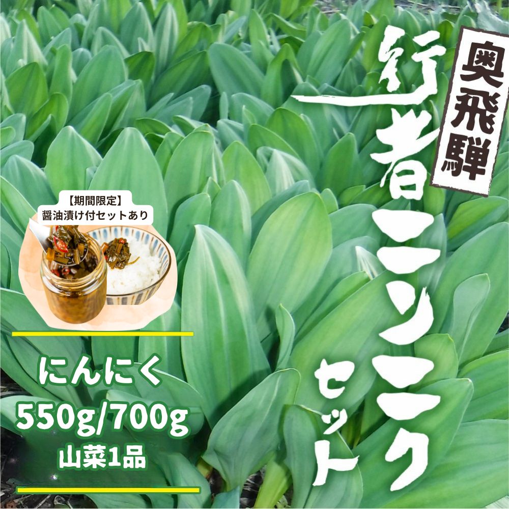 【ふるさと納税】《先行予約》選べる内容量 奥飛騨産とれたて新鮮 生行者ニンニク 550g / 700g , 山菜1品 行者ニンニク 行者にんにく 醤油漬け 【4月下旬～5月上旬発送】[Q654xch Q655xch] 10000円 1万円 12000円