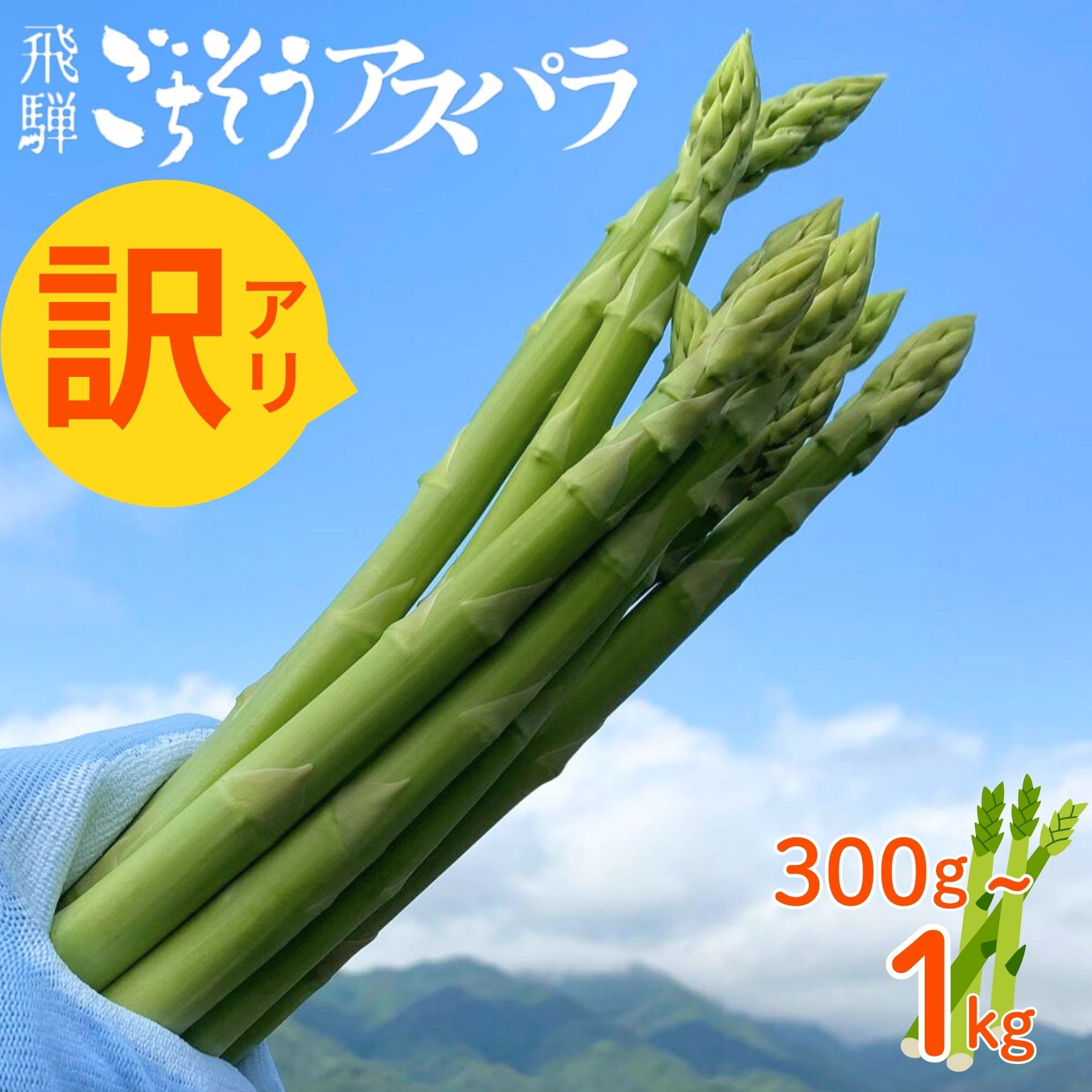 【ふるさと納税】《令和8年産 2026年先行予約受付中》訳あり 水村農園 飛騨のきれいな水と激しい寒暖差が育んだ柔らか甘いアスパラグリーン アスパラガス 2026年 配送 サラダ 天ぷら 新鮮 時間指定 わけあり 訳アリ [Q1957rex] 5000円 飛騨市 4,100円