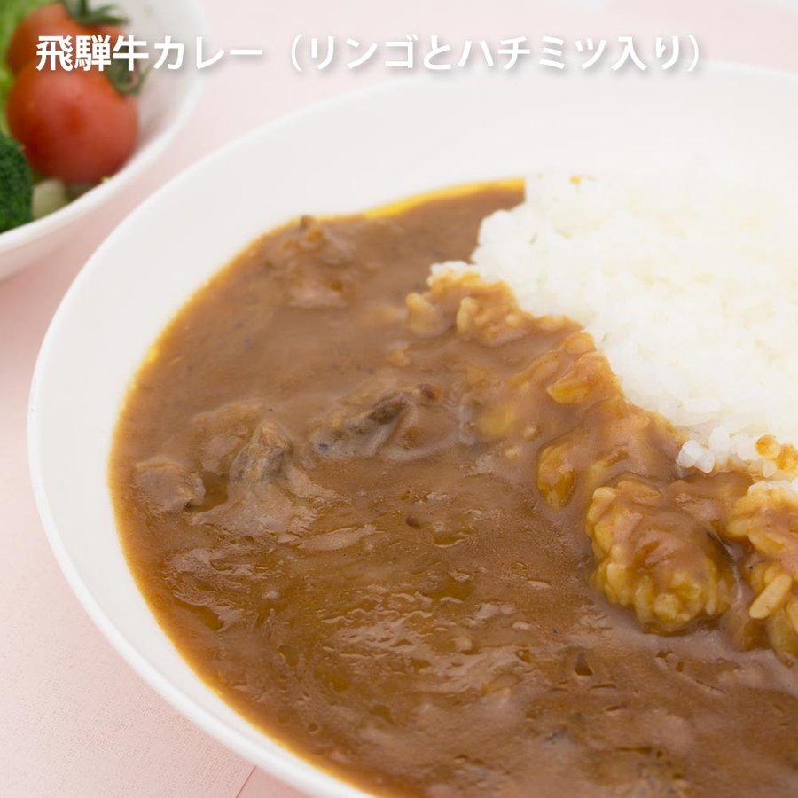 【ふるさと納税】＜8月から寄附額改定＞りんごとはちみつ入り飛騨牛カレー　1袋&times;10　（10食）[C0074pic] 飛騨市｜岐阜県飛騨市