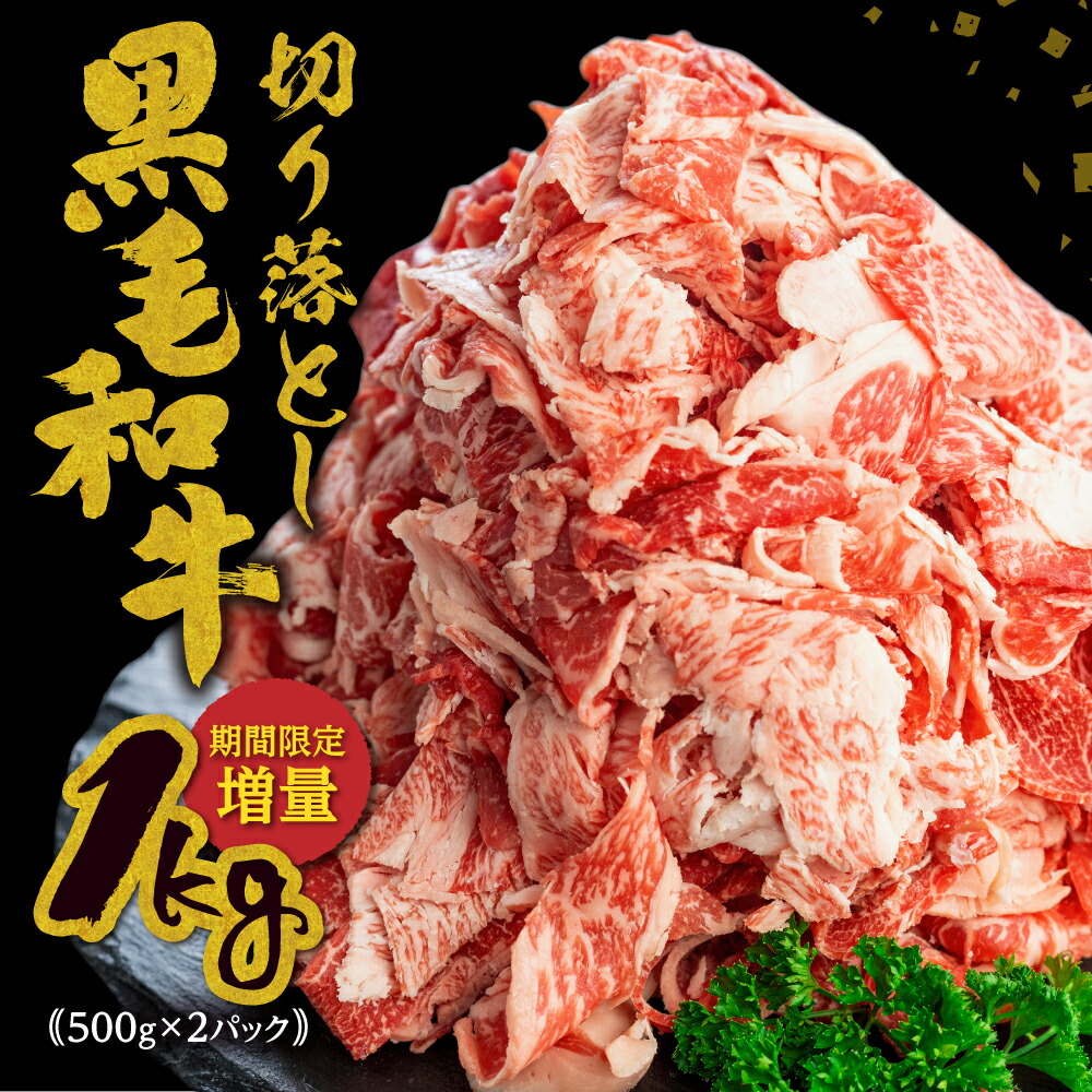 楽天市場】【ふるさと納税】【年内発送】飛騨牛 切り落とし スライス 500g (250g × 2 小分け ) 焼肉 牛肉 肉 訳あり 不揃い  部位おまかせ 焼き肉 和牛 すき焼き 肉じゃが 炒め物 煮物 ギフト 贈り物 ［Q1020nn］10000円 1万円 : 岐阜県飛騨市