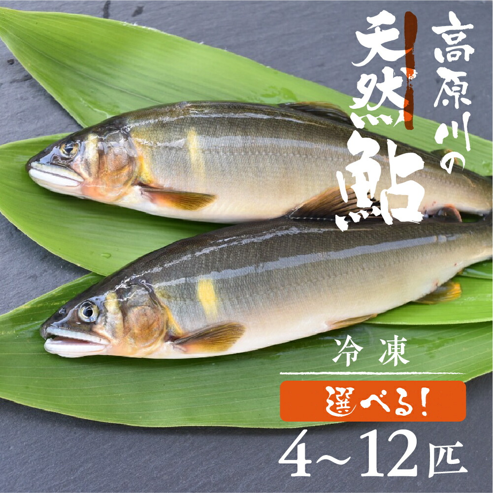 【ふるさと納税】先行予約【令和7年7月末～9月上旬発送】高原川の天然鮎 4～12匹 たかはら鮎 鮎 あゆ アユ 川魚 魚 サカナ 天然 冷凍 アウトドア バーベキュー BBQ 魚 《hida0307》