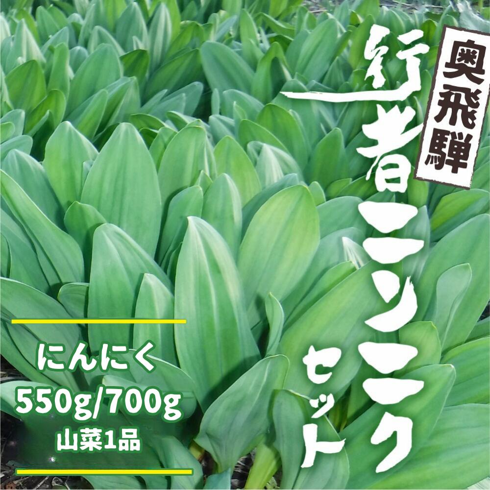 【ふるさと納税】《先行予約》選べる内容量 奥飛騨産とれたて新鮮 生行者ニンニク 550g / 700g , 山菜1品  行者ニンニク 行者にんにく 醤油漬け 【4月下旬～5月上旬発送】[Q654xch Q655xch] 10000円 1万円 12000円