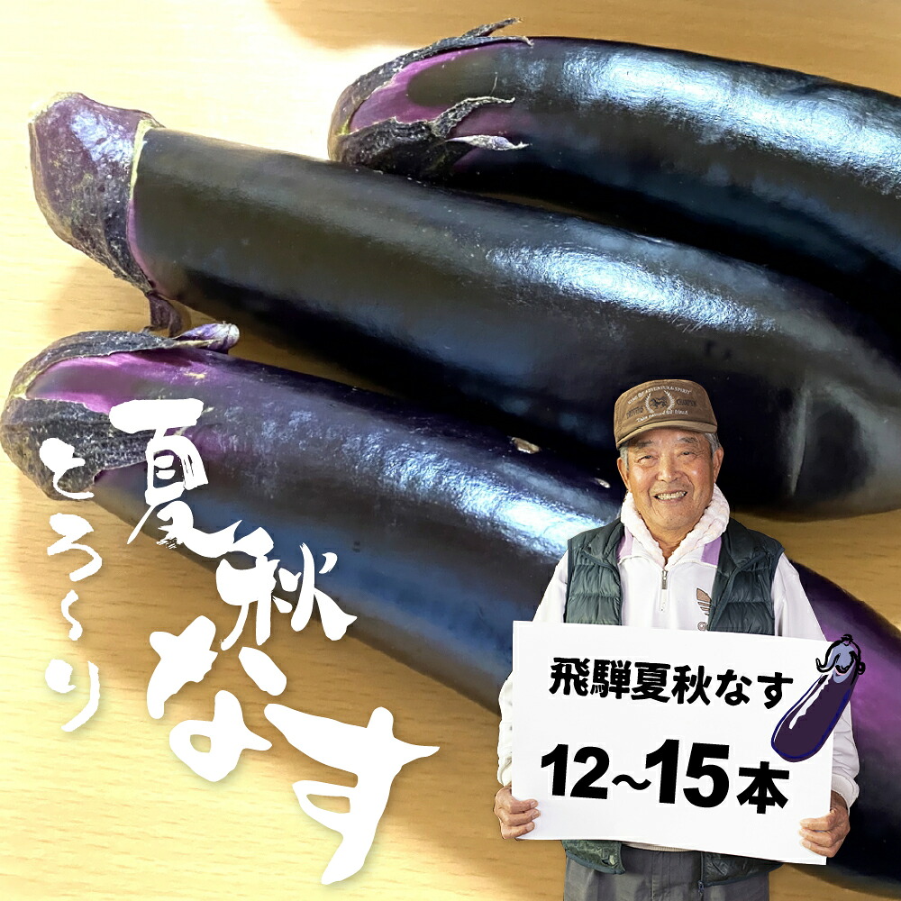 【ふるさと納税】先行予約【7月上旬～10月中旬に発送】令和8年産 飛騨 夏秋なす 約3.5kg 茄子 ナス 大なす 産地直送 夏野菜 野菜 [Q792]8000円 8千円 10000円 1万円