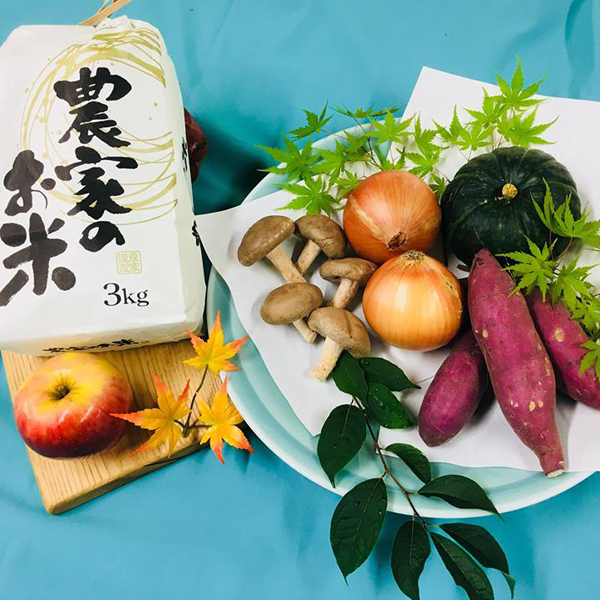 楽天市場 ふるさと納税 期間限定 天ぷらにおすすめ 季節の野菜 お米セット B0128 岐阜県飛騨市