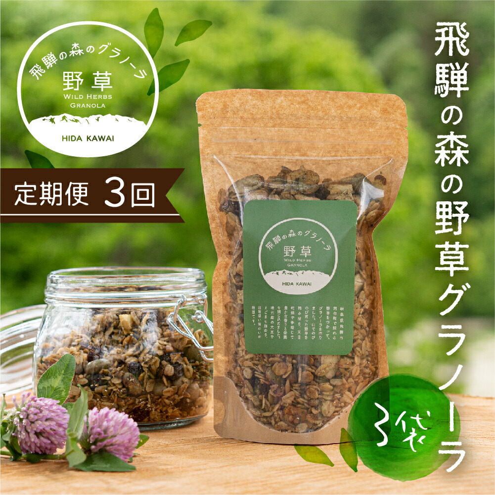 【ふるさと納税】3回 定期便 飛騨産野草が入った飛騨の森の グラノーラ　3袋 オートミール 無添加 シリアル 自然派 ハトムギ