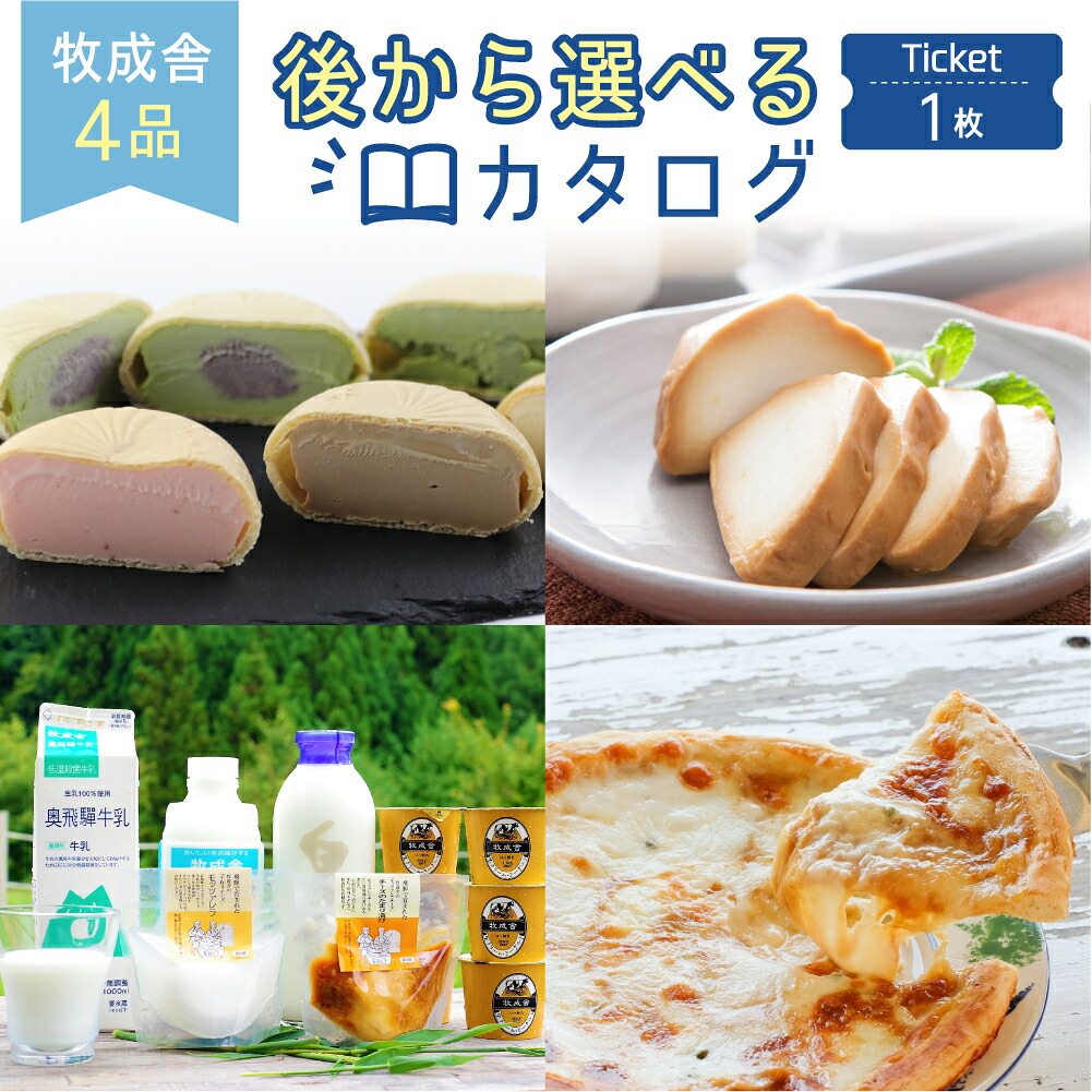【ふるさと納税】後から選べるカタログチケット 乳製品 1セット分 チーズ ヨーグルト 牛乳 ピザ 詰め合わせ セット 定期便 飲むヨーグルト どやな飛騨市