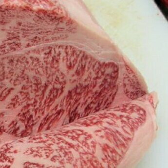 【ふるさと納税】飛騨市推奨特産品 飛騨牛4等級サーロインステーキ用 ブロック肉 500g 肉 熨斗掛け 熨斗掛け[D0053]｜岐阜県飛騨市
