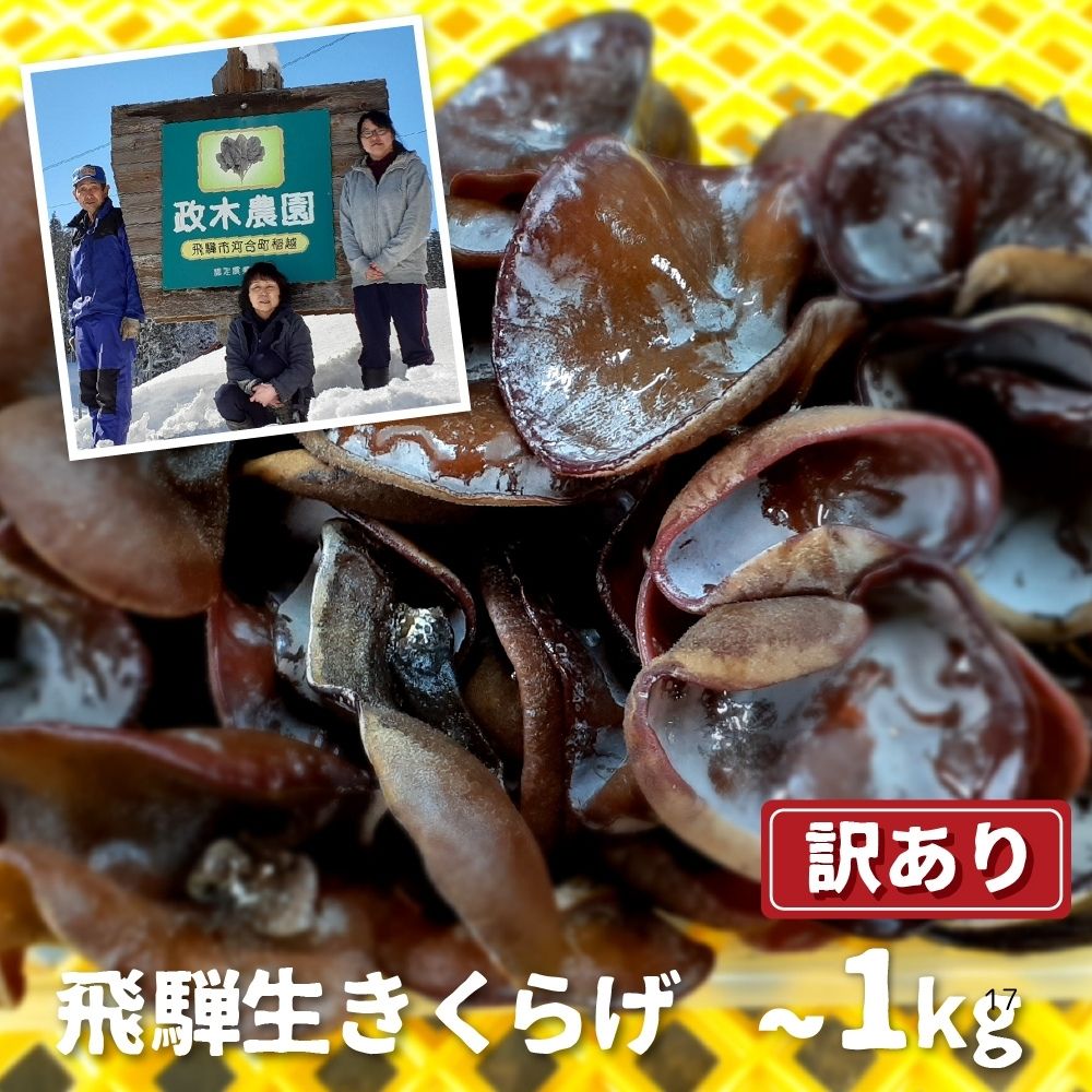 【ふるさと納税】生きくらげ 500g 1kg　内容量選べる 政木農園 キクラゲ 飛騨 簡易包装 訳アリ わけあり ワケアリ 家庭用 [Q1297wx] 6000円 6千円 10000円 1万円 飛騨市