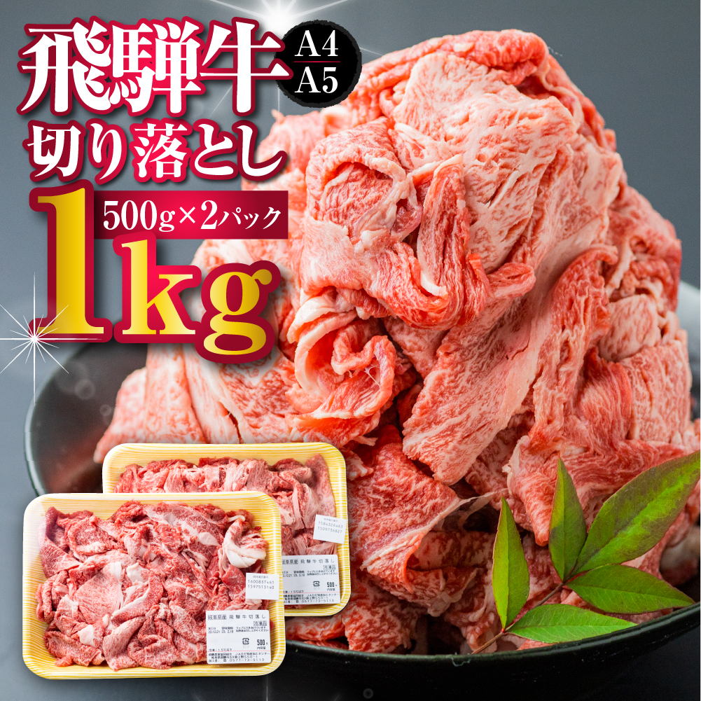 ふるさと納税】【訳あり】飛騨牛 切り落とし 500g×2 計1kg A4 A5 部位