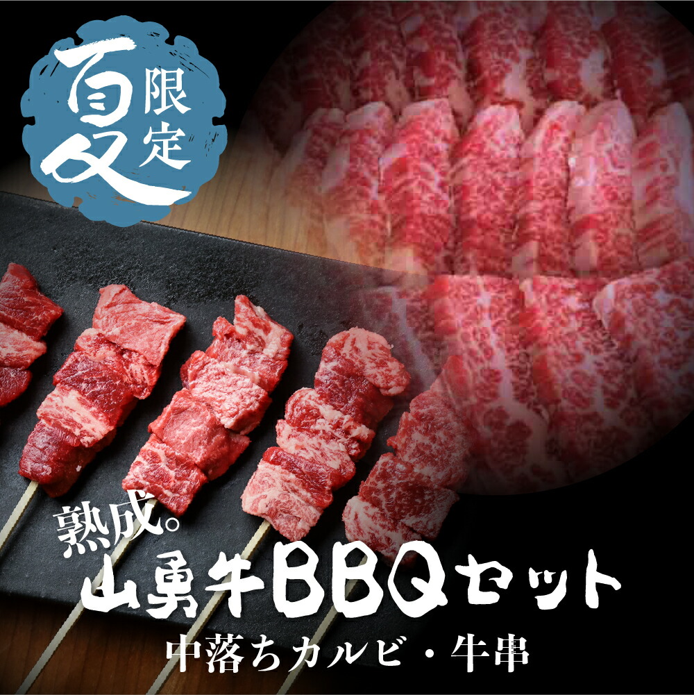 飛騨市推奨特産品飛騨牛 BBQ がっつりバーベキューカルビ 500g お歳暮 D0020 和牛 牛肉 3万円 30000円 肉