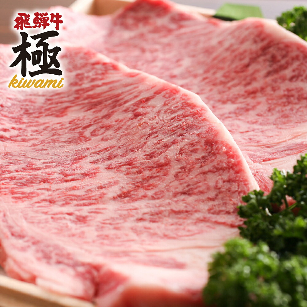 【ふるさと納税】 飛騨牛サーロインステーキ(250g)５枚 ステーキ 肉 牛肉 和牛 ステーキ 国産 [Q3111] 180000円 飛騨市 岐阜県