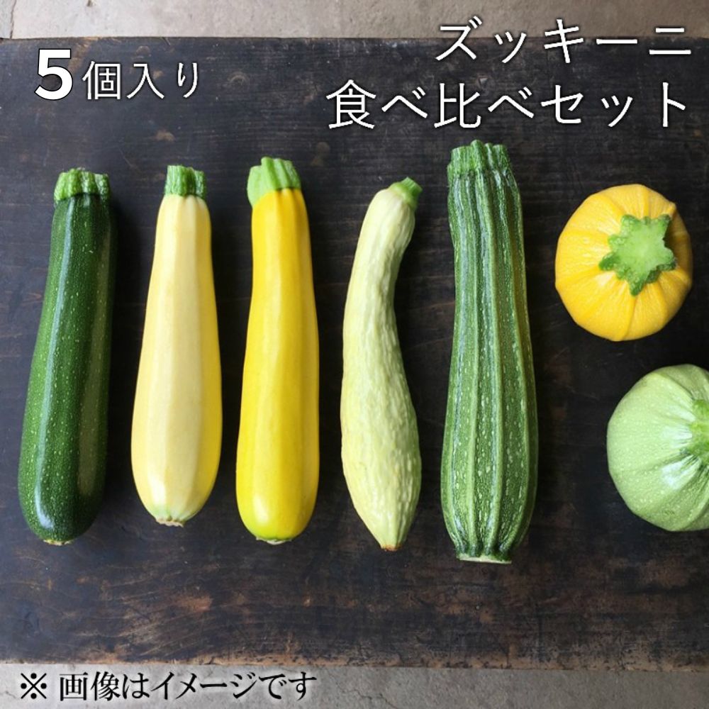 【ふるさと納税】《先行予約》《期間・数量限定》自然栽培 ズッキーニ 食べ比べ セット 旬の野菜 飛騨 自然の味 珍しい形 色 自家採種 みずみずしい ソヤ畦畑 農薬不使用 肥料不使用[Q044x]8000円 8千円