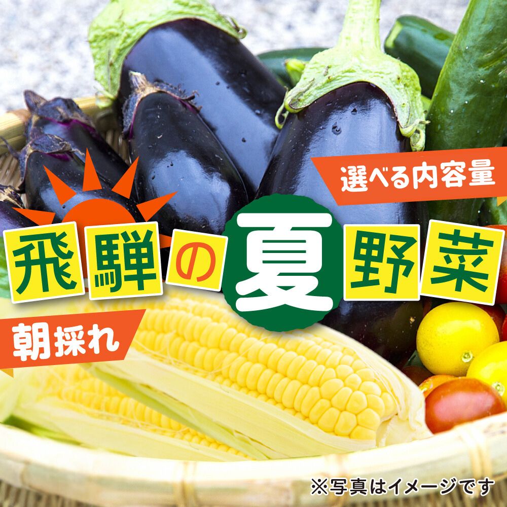【ふるさと納税】先行予約 令和7年産《2024年7月下旬～9月下旬発送》夏秋 野菜たっぷり詰め合わせ セット 3品以上  約4kg 朝採れ 産地直送 [Q1051]8000円 8千円 10000円 1万円