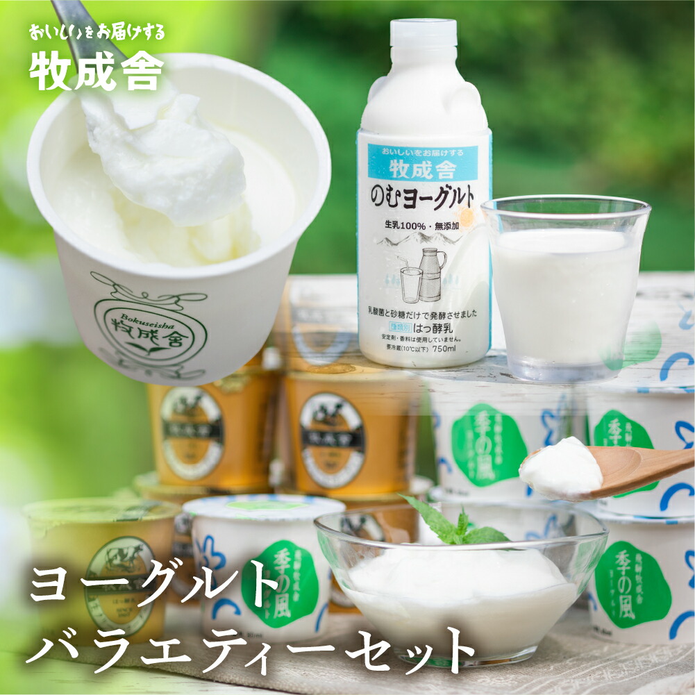 【ふるさと納税】＜8月から寄附額改定＞【2週間以内に発送】飛騨 牧成舎 ヨーグルト 3種 7個 4種 12個 セット ヨーグルト ギフト まとめ買い 牧成舎 冷蔵 冷蔵保存 さっぱり 低カロリー ヘルシー 生クリーム 濃厚 [Q1056x]《hida0307》｜岐阜県飛騨市