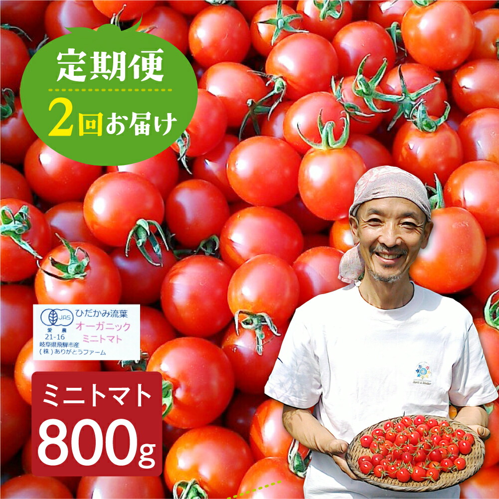 【ふるさと納税】《数量限定》 ミニトマト 800g 2回定期便 野菜 夏野菜 とまと 生野菜 10000円 1万円 ［Q1301］ 《hida0307》