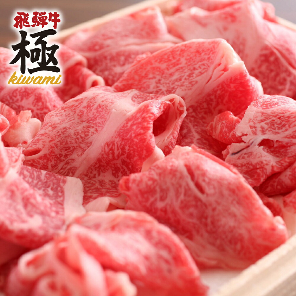 【ふるさと納税】 飛騨牛 ちょっとリッチな切落し 500g ｜ 切り落とし すき焼き しゃぶしゃぶ 焼肉 訳あり 訳アリ わけあり ワケアリ 牛肉 和牛 牛 肉 お肉 にく 切落し 切り落とし肉 岐阜県 飛騨市 [Q3107] 15000円