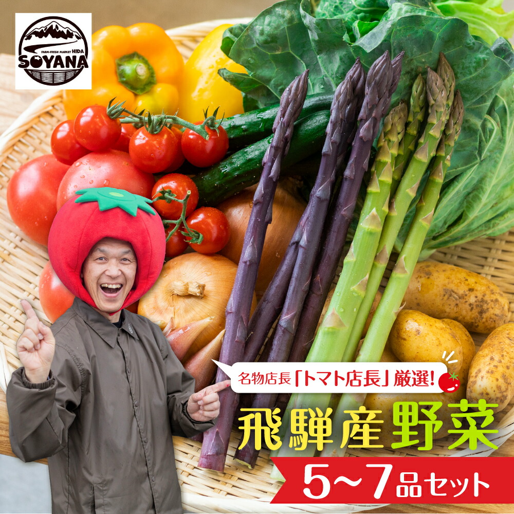 【ふるさと納税】【先行予約】2025年7月からお届け！旬の野菜の定期便 飛騨産直市そやな直送 トマト店長厳選 飛騨産 旬の野菜セット 5-7品  野菜セット 定期便 2回 3回 おまかせ 詰め合わせ 産地直送 《hida0307》7000円 10000円 1万円