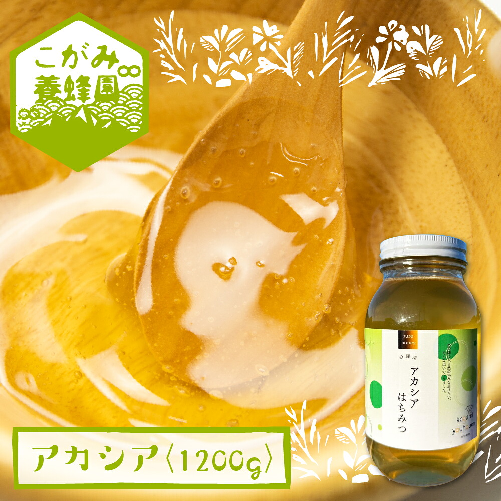 【ふるさと納税】＜8月から寄附額改定＞飛騨産 生蜂蜜 アカシア蜜 1200g 国産無添加 はちみつ ギフト ハニー 非加熱[Q1200nx]｜岐阜県飛騨市