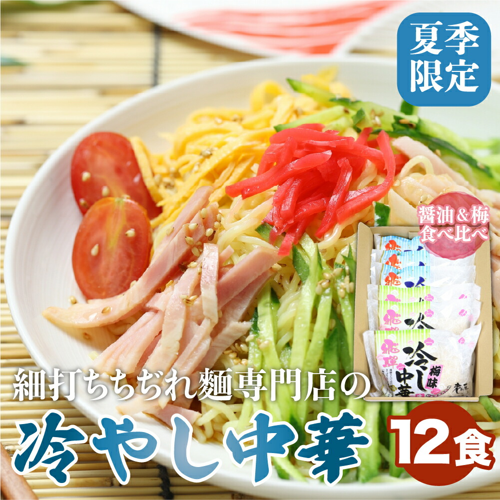 【ふるさと納税】【夏季限定 4～9月発送】冷やし中華 ノーマル＆梅味 計12食（2食入3袋）× 2 常温保存 老田屋[Q744wx]
